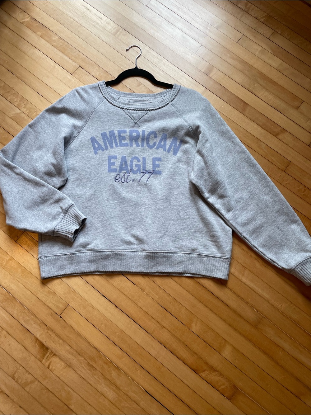 AMERICAN EAGLE Graphic Boxy Fit Sweatshirt Gray Lavendar Cotton Lounge Lived In